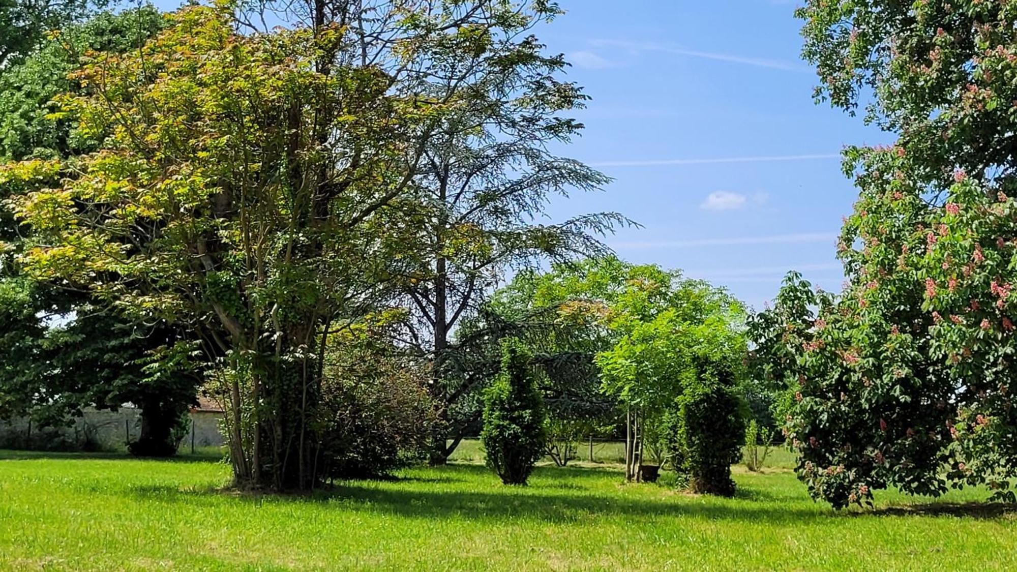 Villa Saint Pierre La Trimouille المظهر الخارجي الصورة