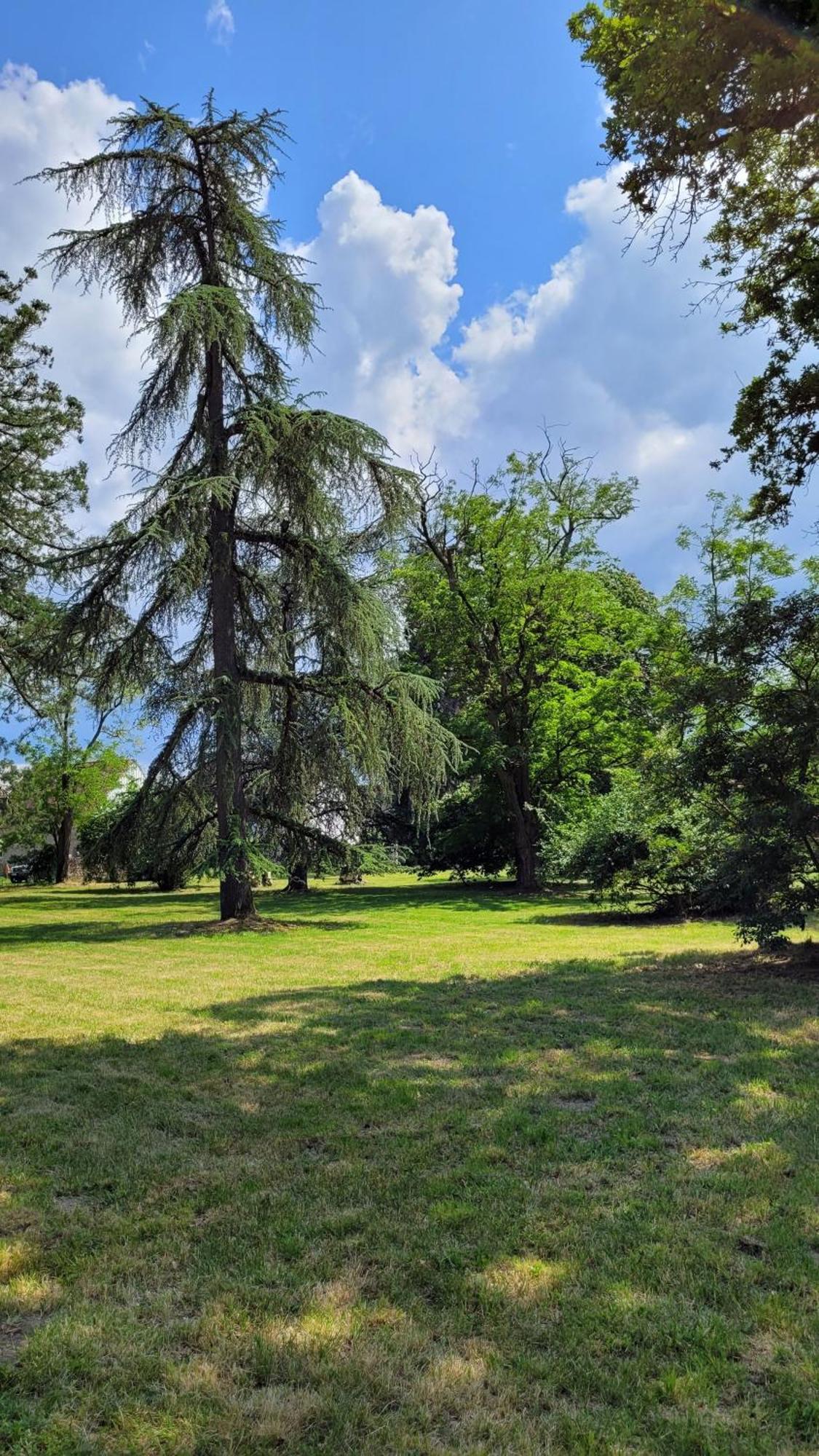 Villa Saint Pierre La Trimouille المظهر الخارجي الصورة
